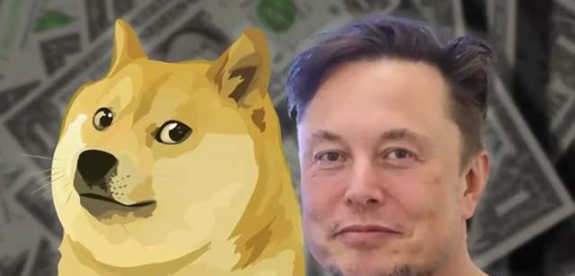 Dog AI quantification